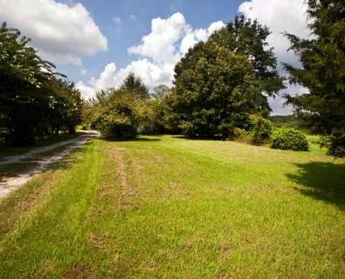 aaM_0002_front-