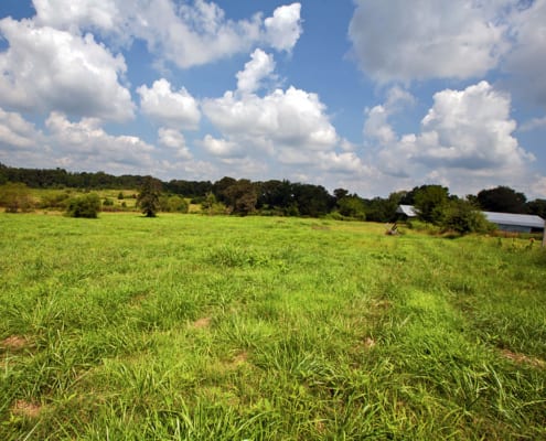 aaM_0003_pasture-barn